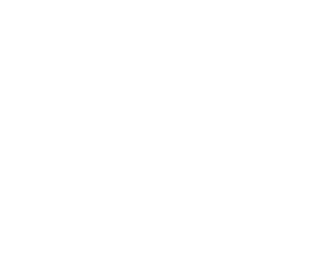 Vertua icon